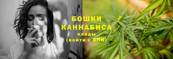 дживик Богородицк