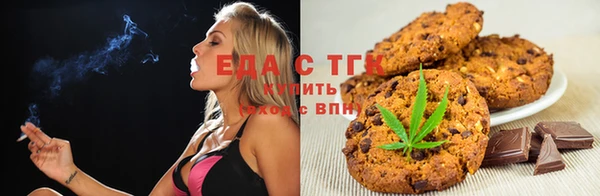 дживик Богородицк