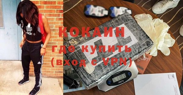 дживик Богородицк