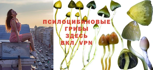 кристаллы Богданович