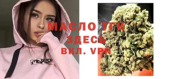 дживик Богородицк
